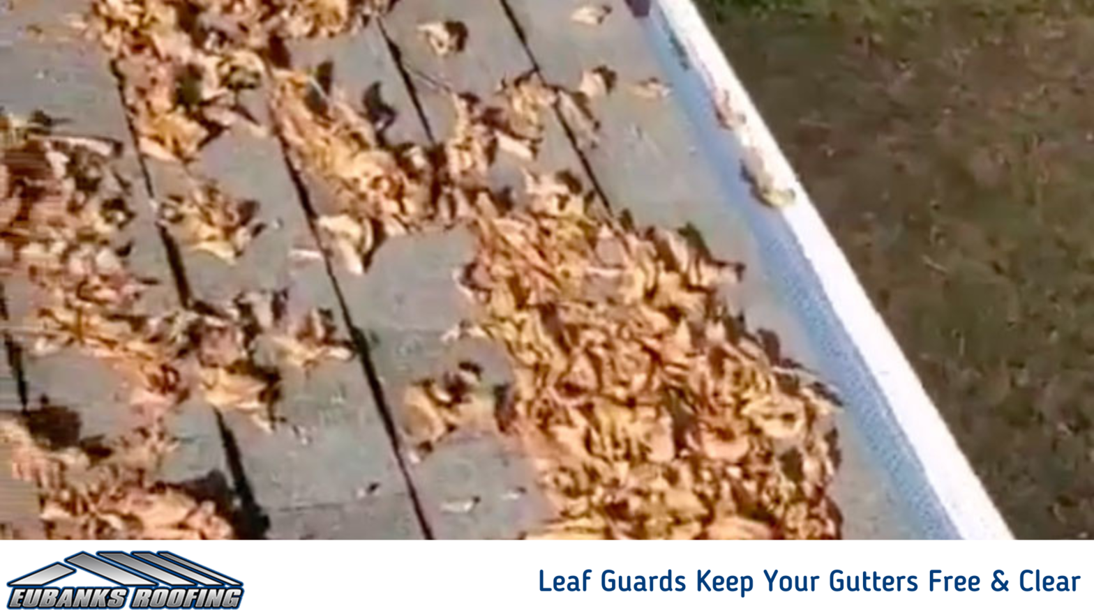 Leaf Guards